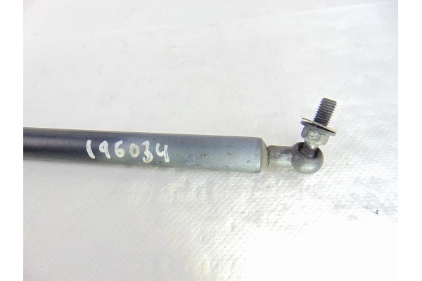  AMORTIGUADORES CAPO SUBARU FORESTER (S12/SH) XS Classic 2010 196034 SUBARU - 1