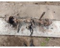 BEAM BRIDGE REAR KIA K2700 Part manufacturer Kia OE