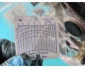 ENGINE LDA3 HONDA JAZZ III 1 3B 16V HYBRID FILM MEASUREMENT Part manufacturer Honda OE
