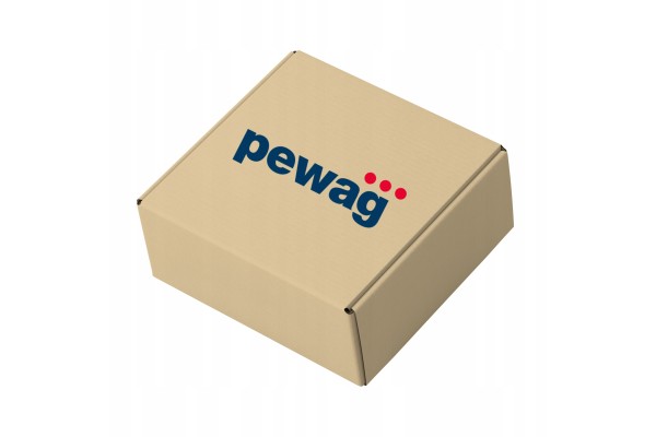 Snow chains PEWAG SECTION PAS B