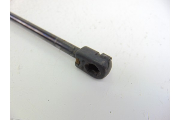 AMORTIGUADORES MALETERO / PORTON SSANGYONG RODIUS