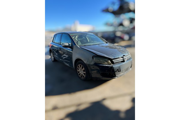 VOLKSWAGEN GOLF VI (5K1)(10.2008) Rabbit BlueMotion