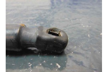 05178293AC  AMORTIGUADORES MALETERO / PORTON DODGE JOURNEY (JC) SXT 2008 05178293AC 179079 DODGE - 2