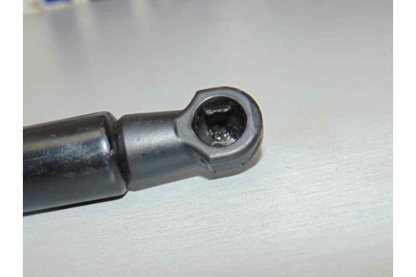 AMORTIGUADORES MALETERO / PORTON NISSAN JUKE (F15E)