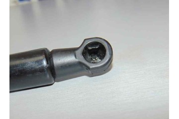 AMORTIGUADORES MALETERO / PORTON NISSAN JUKE (F15E)