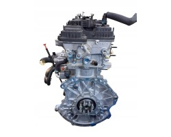 Chery Jaecoo 7 2024 OMODA ENGINE 2 0 SQRF NEEDLE WARRANTY