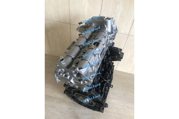 ENGINE FORD TRANSIT 2 0 TDCI EC0BLUE CAMSHAFTS Car type cargo vans