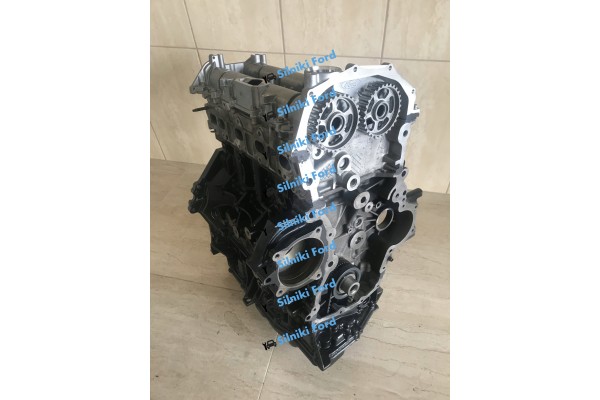 Motor Ford Transit 2.0 TDCI FWD Euro 6 2016-2023 tras regeneración VI