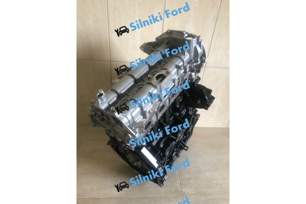 Motor Ford Transit 2.0 TDCI FWD Euro 6 2016-2023 tras regeneración VI