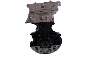 Motor SAFA SAFB FORD TRANSIT 3.2 TDCI 200 HP 147 kW 2008-2014