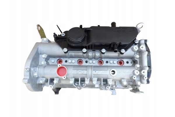 ENGINE BRAND NEW POST FIAT DUCATO IVECO DAILY 2 3 EURO6 F1AE3481 Engine type diesel