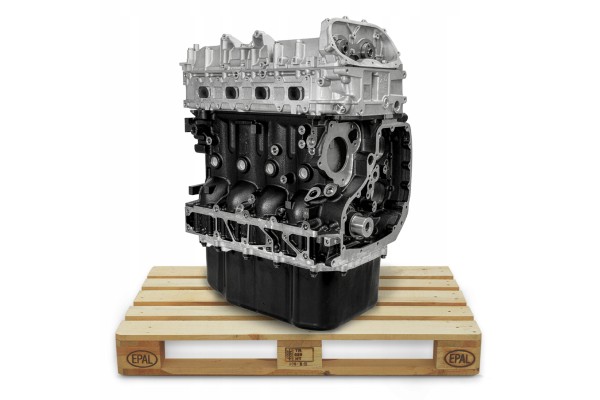 NEW Bonetti F100 F110 F120 3 0 HPI F1CE3481E EURO 5 engine