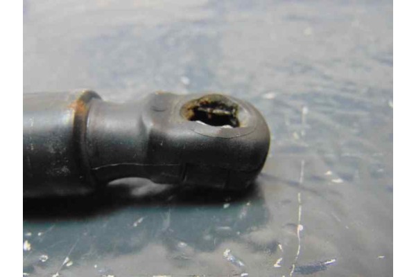 05178293AC  AMORTIGUADORES MALETERO / PORTON DODGE JOURNEY (JC) SXT 2008 05178293AC 179080 DODGE - 1