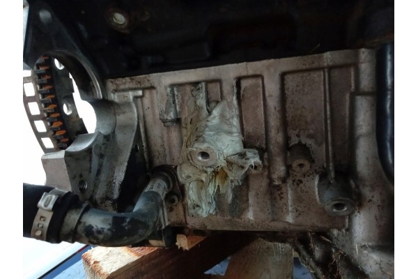Motor Diésel AUDI Q7 4L 4.2 TDI 326 CV BTR