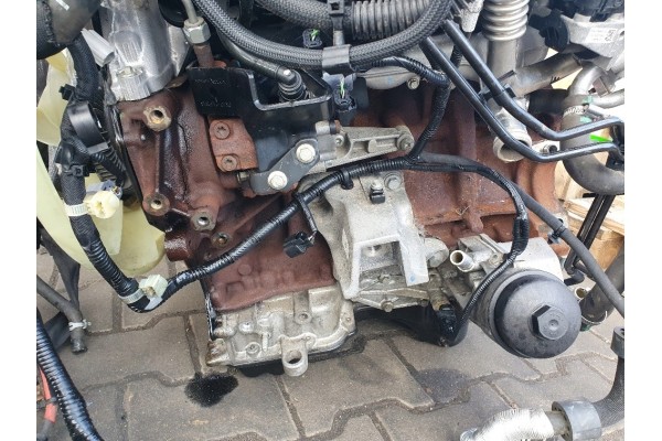 Motor Ford Ranger 2.2 TDCI 160KM QJ2W Euro 6 2019 Bajo Kilometraje