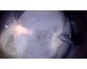 Motor Seat León III 1.8 TSI 179CV CJS 2012-