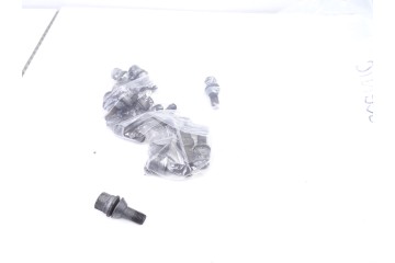 NO IDENTIFICADO RENAULT SCENIC II (JM)