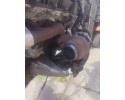 Mercedes E W211 LIFT 06 09 COMPLETE ENGINE 2 2 646811 Part manufacturer Mercedes Benz OE