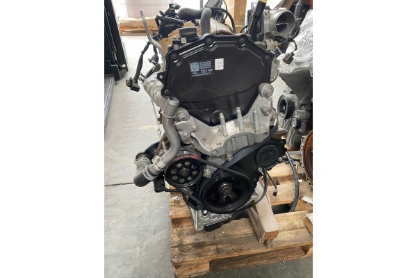 Motor 2.0 EcoBlue con Sistema de Combustible para Ford Transit MK8 Cus