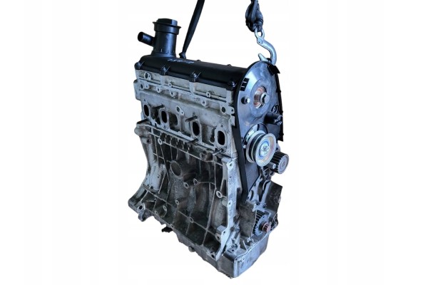 Skoda Octavia Mk2 1Z 2009 Engine Catalog number of the part BSE