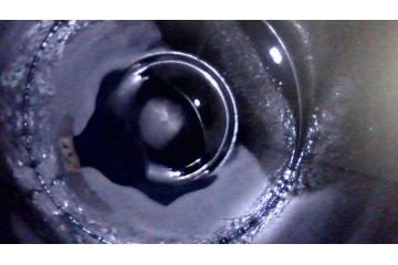 Motor BKD SEAT LEON II 2.0 TDI 140CV