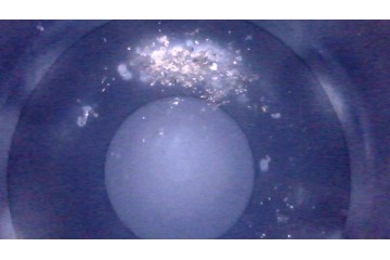 Motor 1ND Toyota Yaris II 1.4 D4D Medición de Película