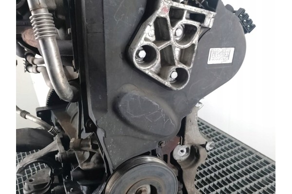 ENGINE RENAULT MEGANE II F9Q K816 1 9 DCI Part manufacturer Renault OE