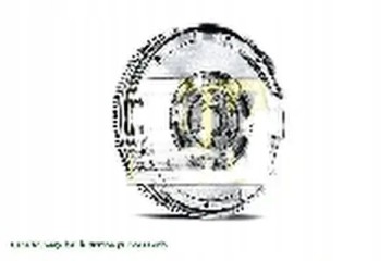 FLYWHEEL 415 1026 09 LUK