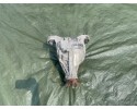BRIDGE DIFFERENTIAL REAR PORSCHE PANAMERA 970 3 6 97035001101 EU