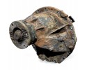 20874634 VOLVO Differential drive axle