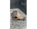 Front differential Toyota LAND CRUISER 2019 N2519021Y1515D Catalog number of the part N2519021Y1515D N25