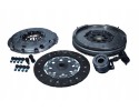 CONJUGATED SET REPSET TWO MASS WHEEL SCHAEFFLER LUK 600 0396 00