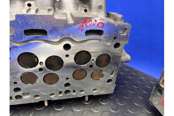 Culatas Derecha e Izquierda Audi A6 A7 C7 SQ5 3.0 TDI 313 CV CGQ 0594A