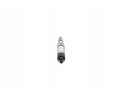 BOSCH 0 445 120 064 Injection tip Engine type not specified