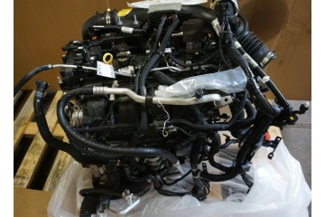 Motor 2.0 EcoBoost Ford Espace LJ6E-6007-FA