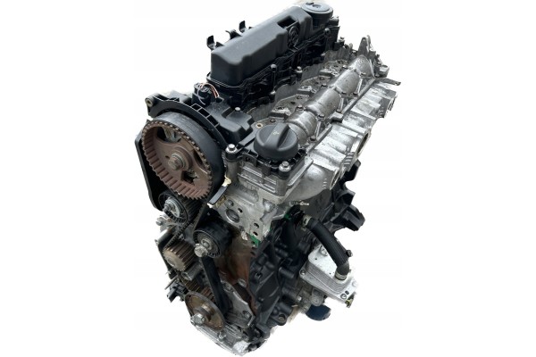 2 0 HDI ENGINE Citroen Jumpy Euro 6 BLUE 15 20 years Engine type diesel