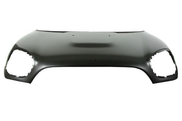 Engine cover steel MINI COUNTRYMAN F60 10 16 06 20