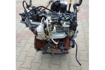 engine ford transit 2 0 ecoblue ideal RWD drive rear little KM Car type 4x4 SUV trucks cargo vans RVs passenger cars