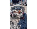 FORD FIESTA VI MK7 1 4 TDCI 9663429280 INJECTION ENGINE