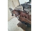 FORD TRANSIT MK7 07 11 ENGINE 2 2 TDCI 86KM FWD P8FA EURO 4 Version English