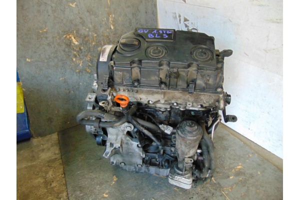 VW GOLF V PLUS JETTA engine 1 9 TDI 105 HP BLS 220 thousand km