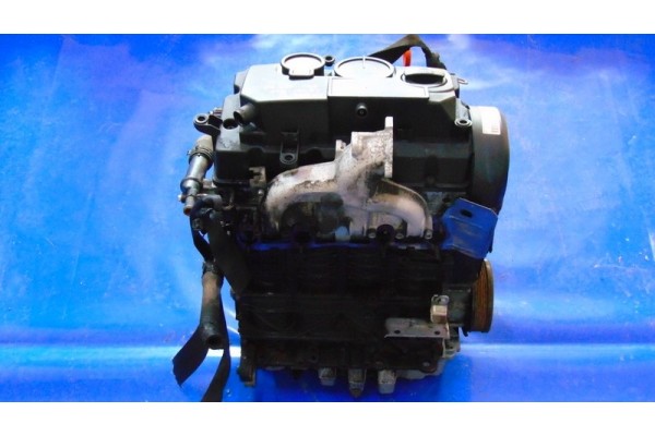 ENGINE 1 9TDI BLS CADDY III GOLF V PASSAT B6 A3 8P TOURAN AND OCTAVIA II LEON Car type cargo vans passenger cars