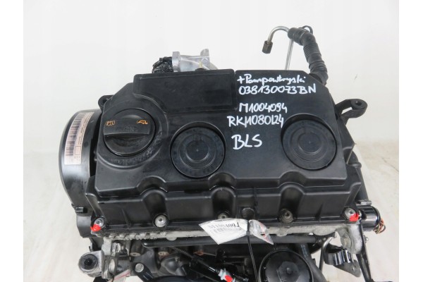 ENGINE VW GOLF V 1K1 1 9 TDI BLS 105 KM COMPLETE Catalog number of the part BLS