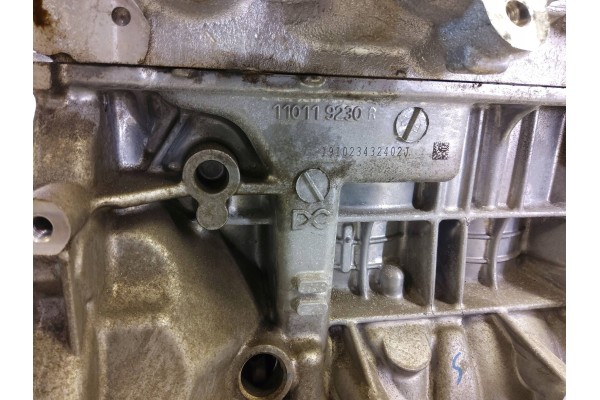 Nissan Micra K14 2020 Engine Catalog number of the part 110119230R