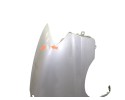 ALETA DELANTERA DERECHA HYUNDAI H-1 STAREX ()