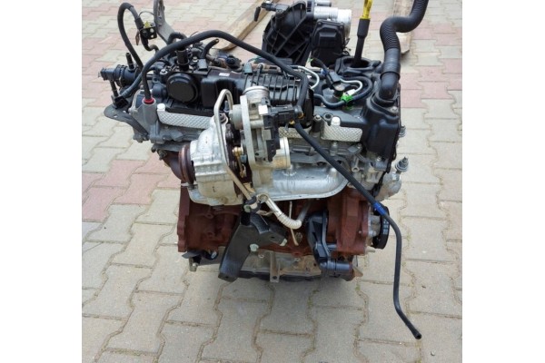 engine ford transit 2 0 ecoblue Ideal Car type 4x4 SUV trucks cargo vans RVs passenger cars