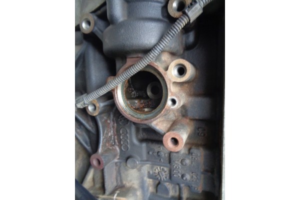 Motor VW Skoda 1.6 TDI CAY sin termostato
