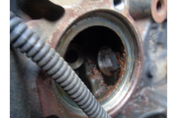 Motor VW Skoda 1.6 TDI CAY sin termostato