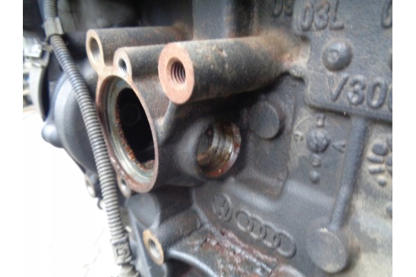 Motor VW Skoda 1.6 TDI CAY sin termostato