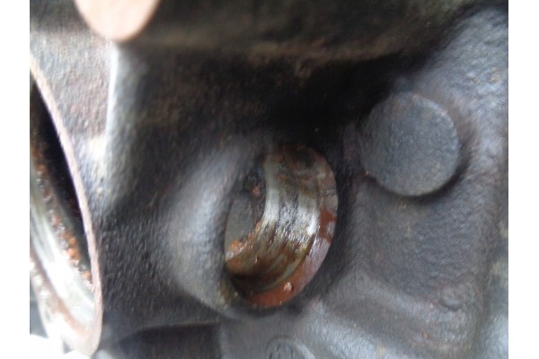Motor VW Skoda 1.6 TDI CAY sin termostato